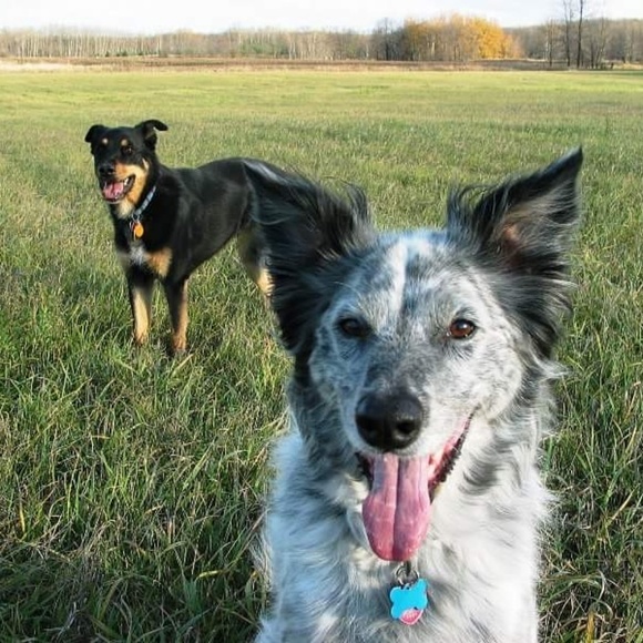 Meet your Posher, Kristen - Picture 1 of 5